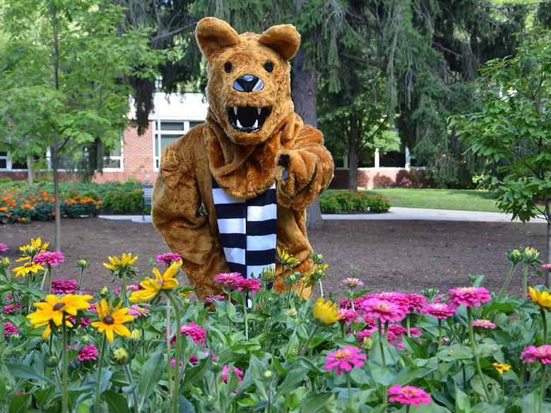 Nittany Lion posing with some flowers